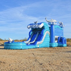 IMG 2331 1772940511 Dolphin Cove Combo Bounce House