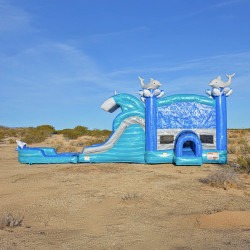 IMG 2332 1772940511 Dolphin Cove Combo Bounce House